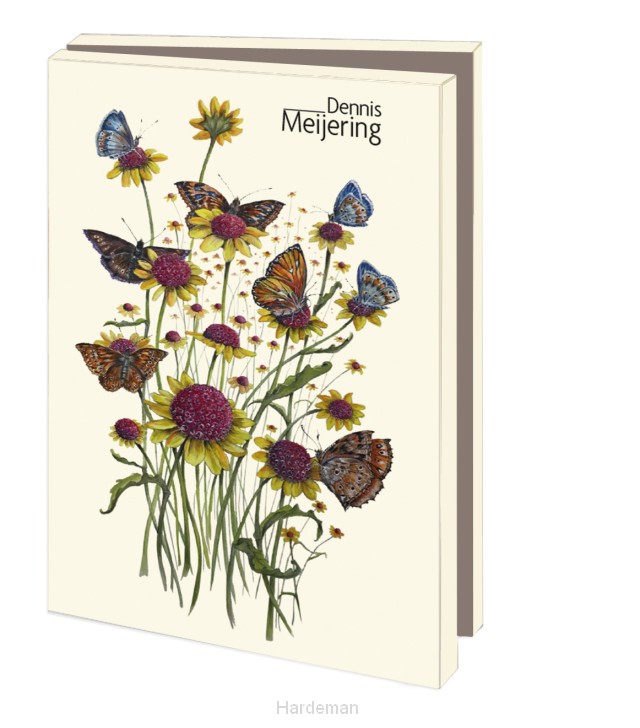 Kaartenmapje Dennis Meijering (klein)