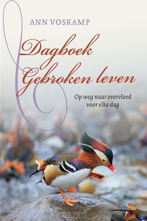 Dagboek gebroken leven