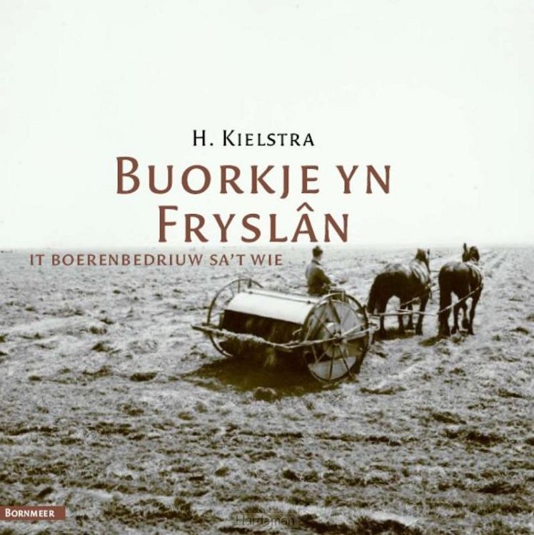 Buorkje yn Fryslân