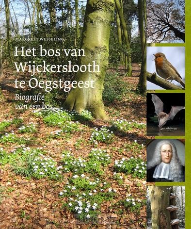 Het bos van Wijckerslooth te Oegstgeest