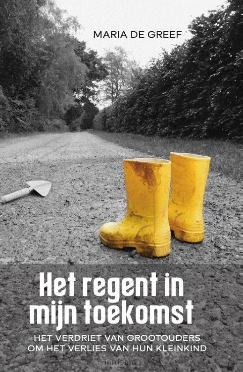 Het regent in mijn toekomst