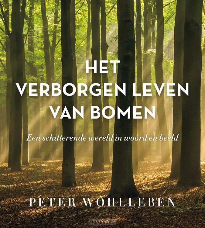 Het verborgen leven van bomen
