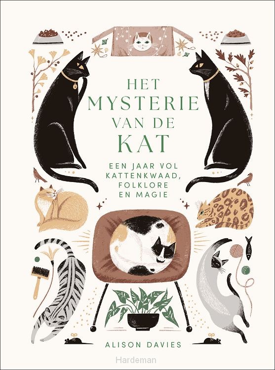 Het mysterie van de kat