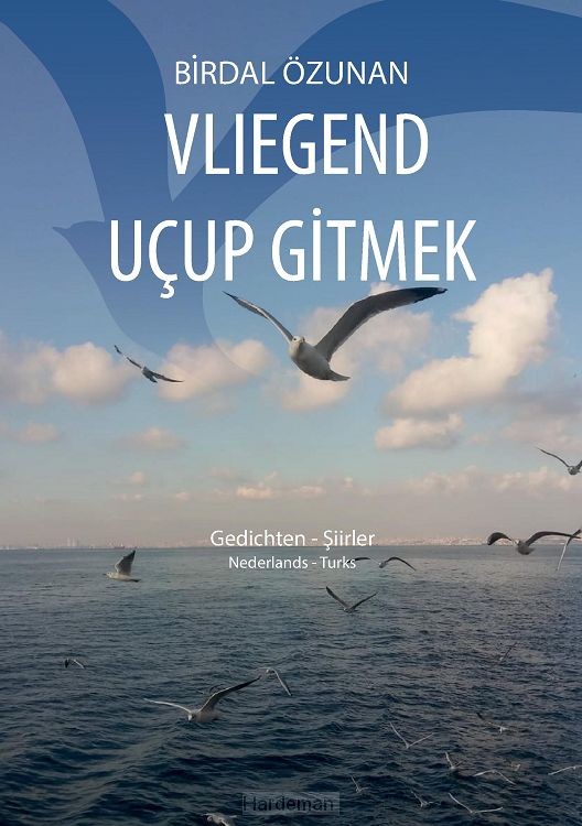 Vliegend uçup gitmek