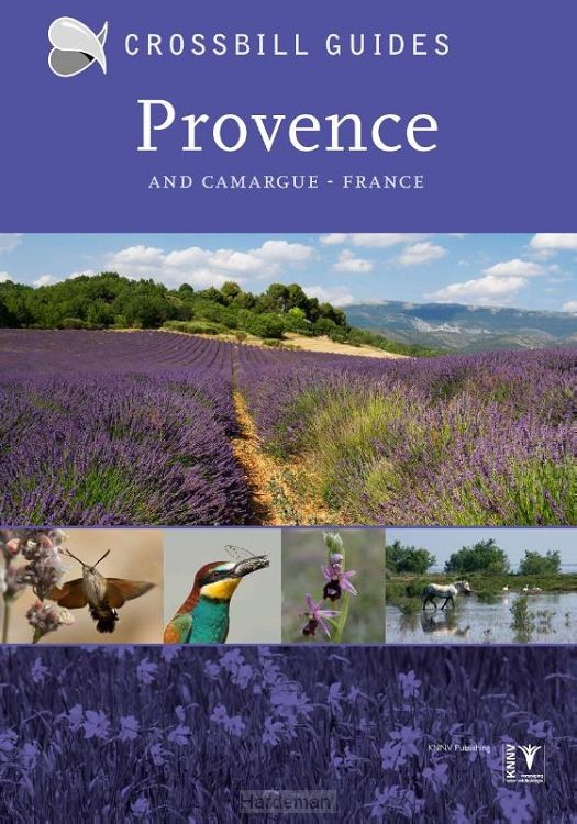Provence and Camargue