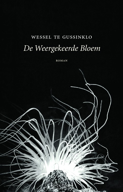 De weergekeerde bloem