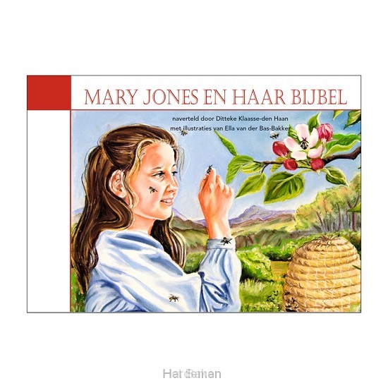 Mary Jones en haar Bijbel klein