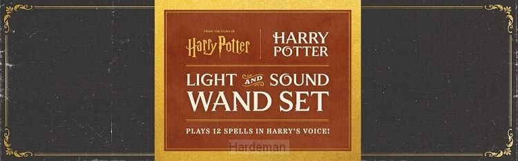 Harry Potter: Harry Potter Light and Sound Wand Set: Plays 12 Spells in Harry's Voice!
