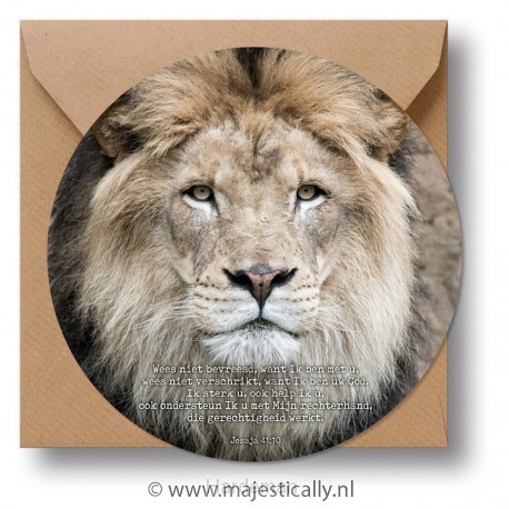 Cirkelcadeau leeuw