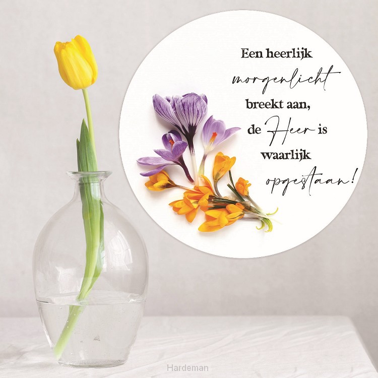 Paascirkel een heerlijk morgenlicht