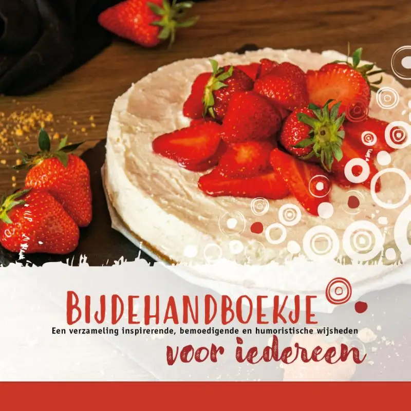 Bijdehandboekje voor iedereen