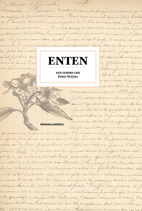 Enten
