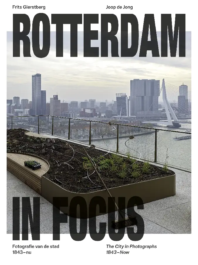 Rotterdam in focus