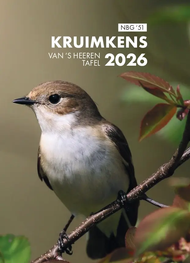 Kruimkens 2026 NBG'51