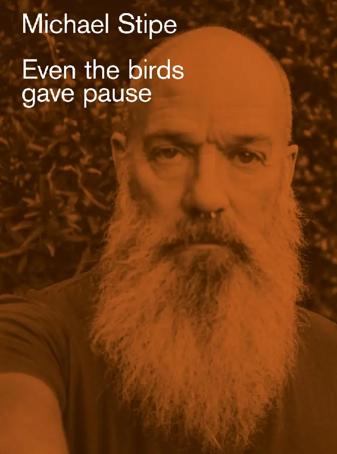 Michael Stipe: Even the birds gave pause