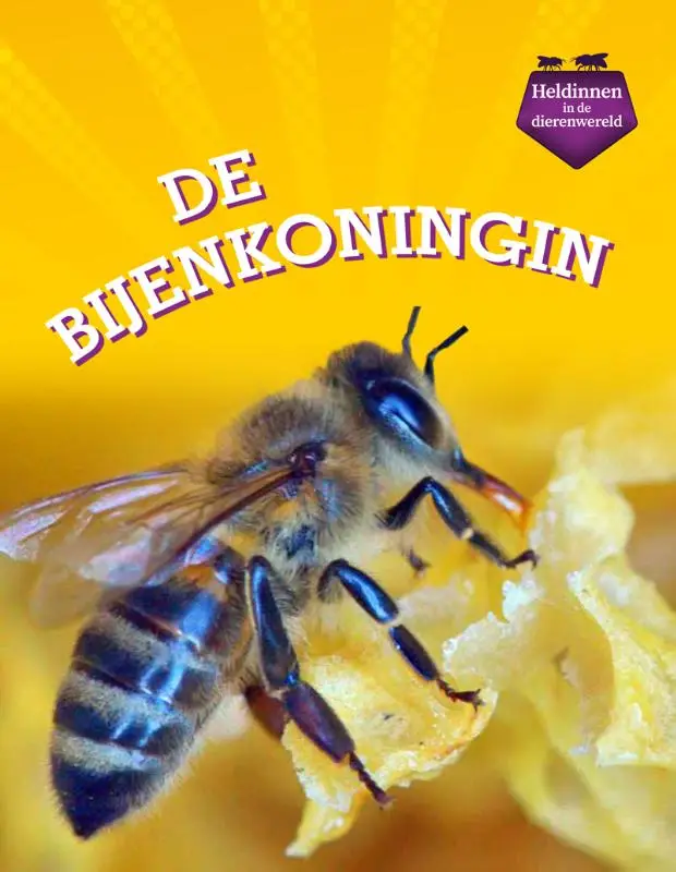 De bijenkoningin
