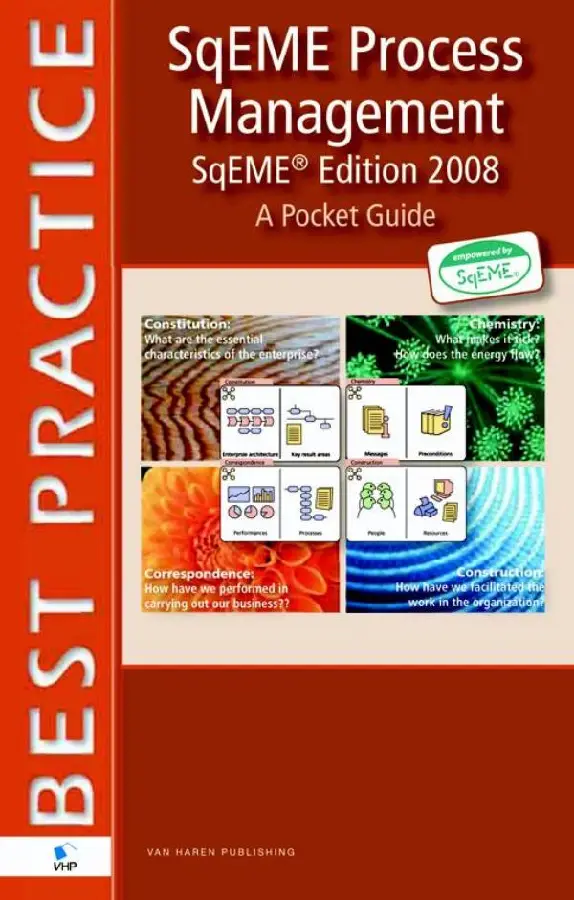 Process management based on Sqeme / 2008