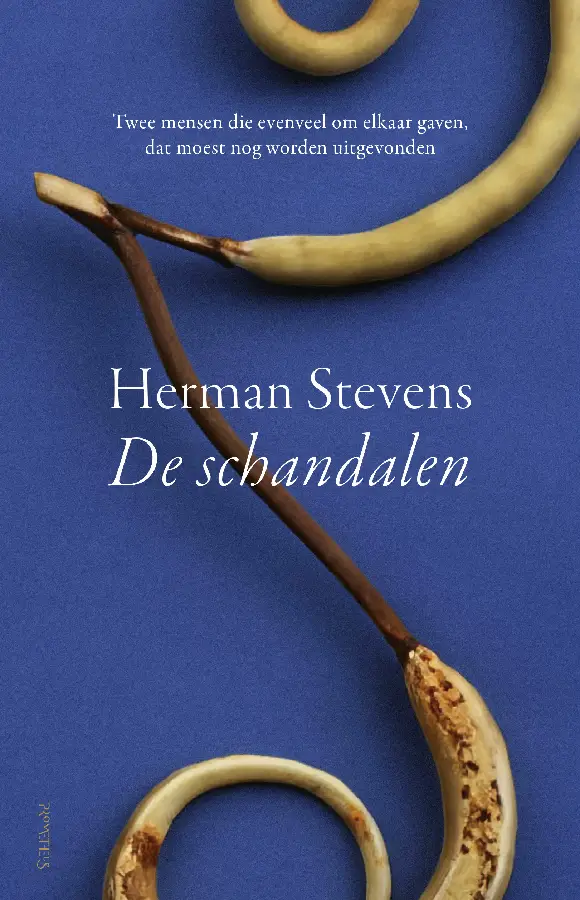 De schandalen