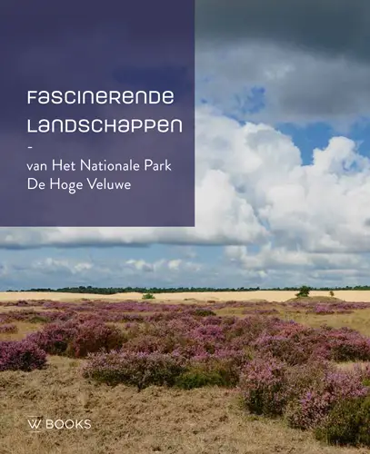 Fascinerende landschappen Hoge Veluwe