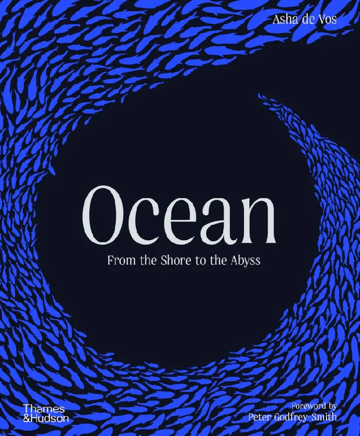 Ocean