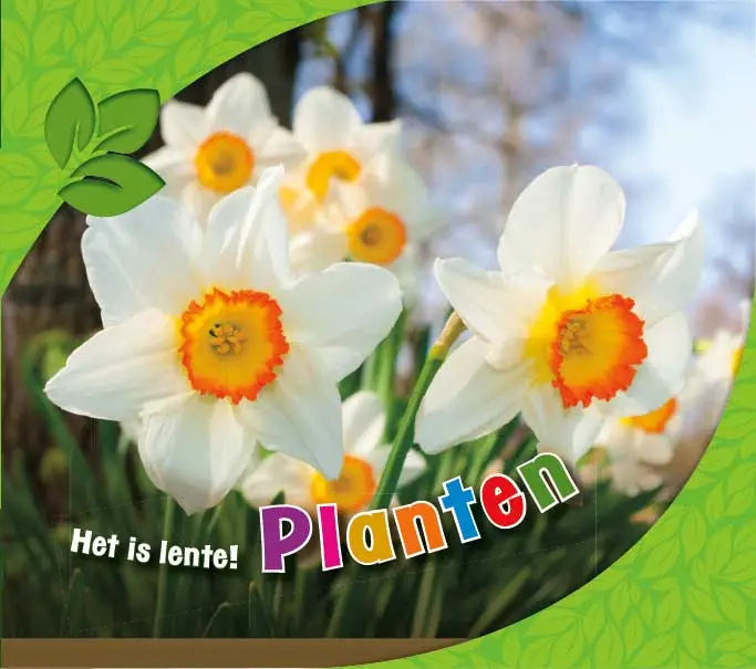 Planten