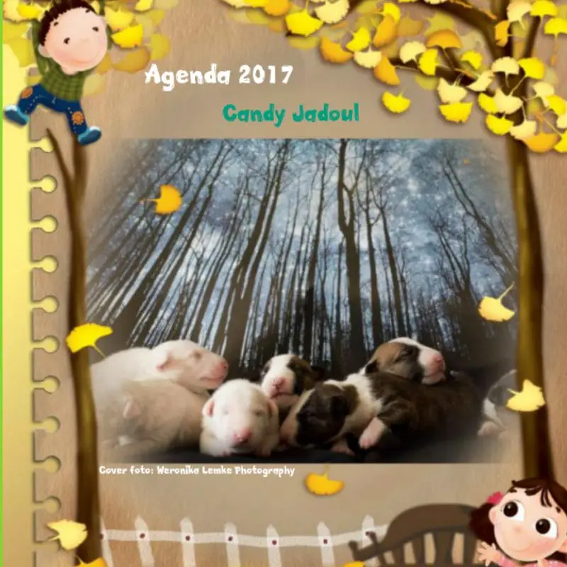 Agenda klein bull terrier friends / 2017