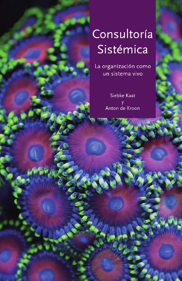 Consultoria Sistemica