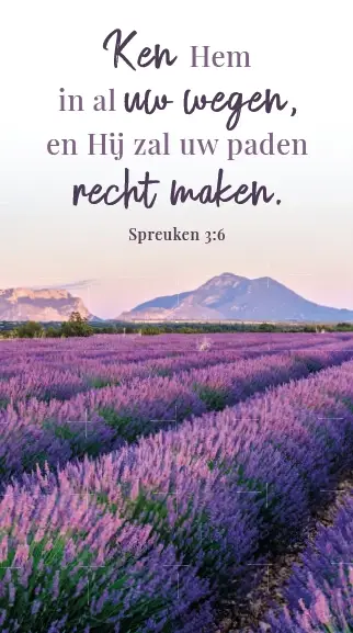 Magneetboekenlegger Ken Hem in...