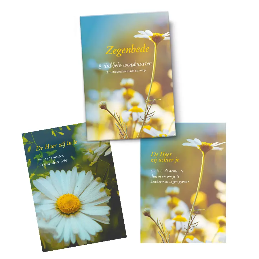 Mapje Notecards Zegenbede ( 2 x 4)
