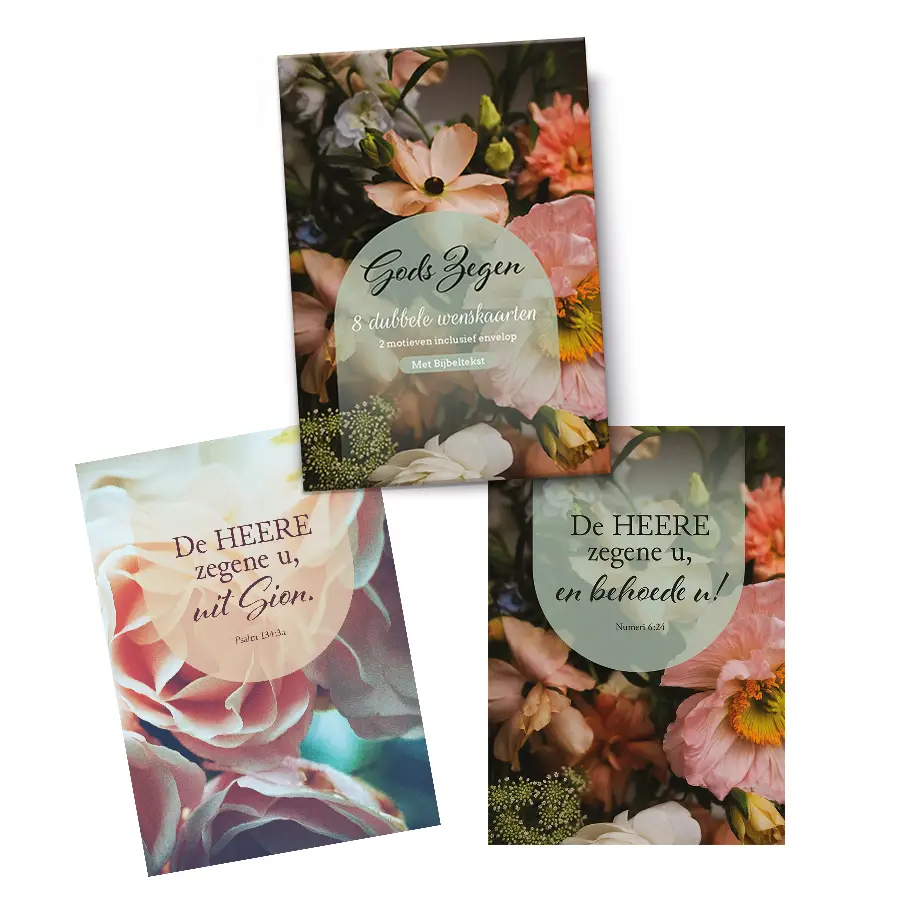 Mapje Notecards Gods Zegen ( 2 x 4)