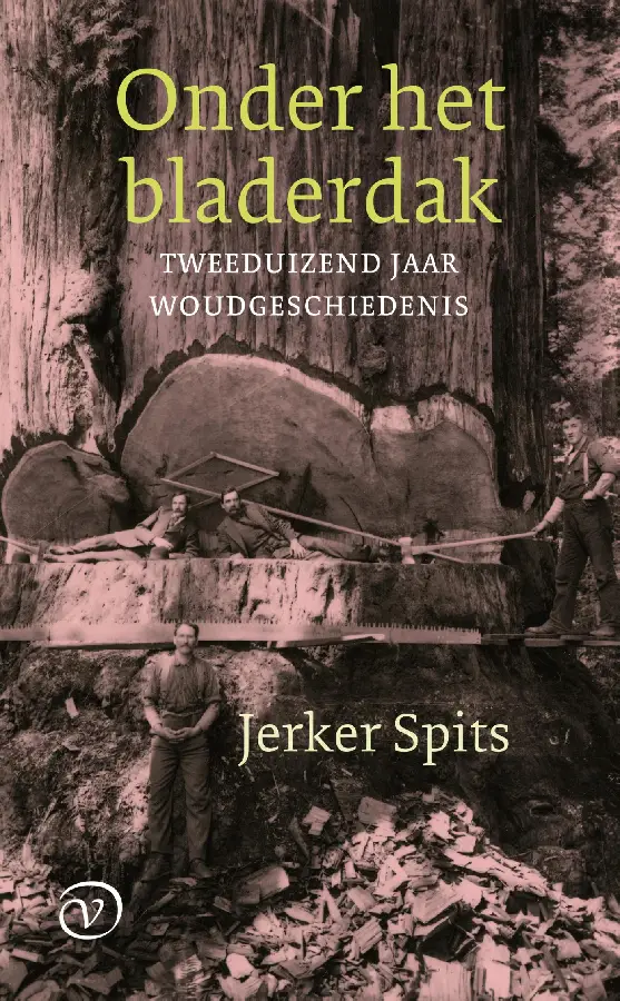 Onder het bladerdak