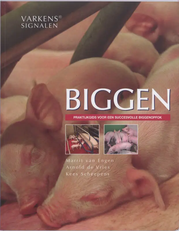 Biggen