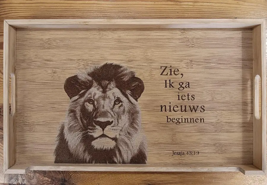 Ik ga iets nieuws beginnen leeuw