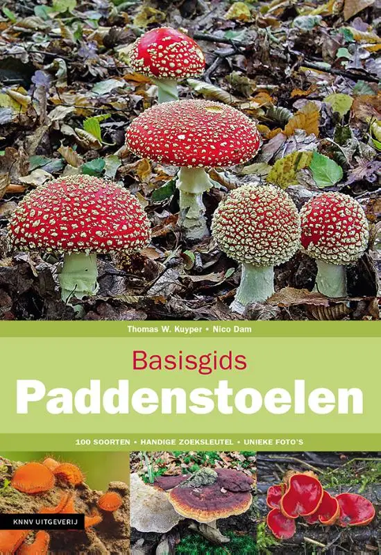 Basisgids Paddenstoelen