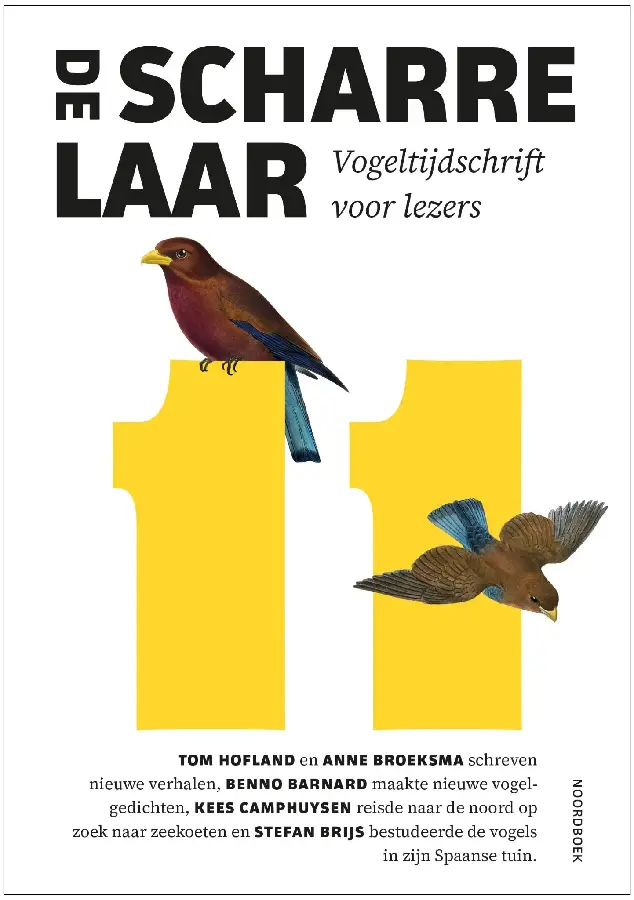 De Scharrelaar / 11