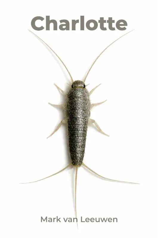 Charlotte