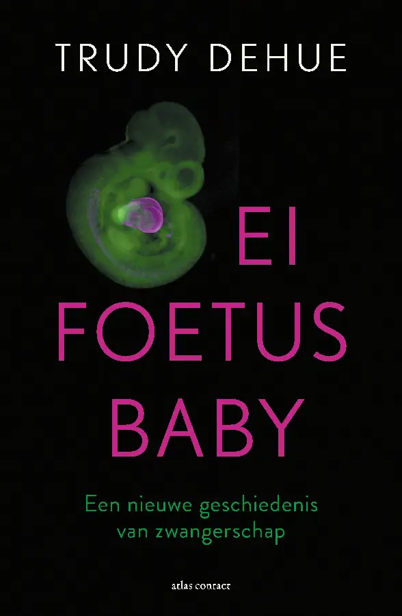 Ei, foetus, baby