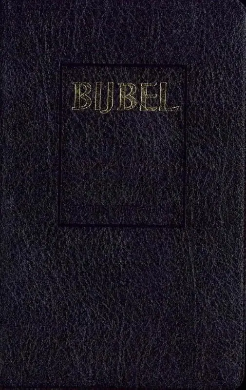 Bijbel STV mic 602811+Psalmen 12gez zw l