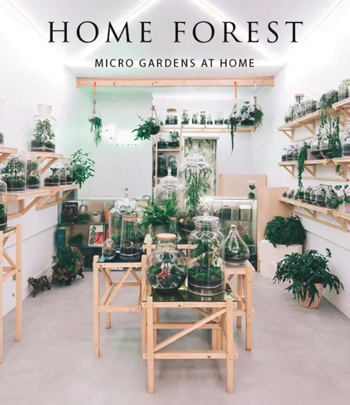 Home Forest