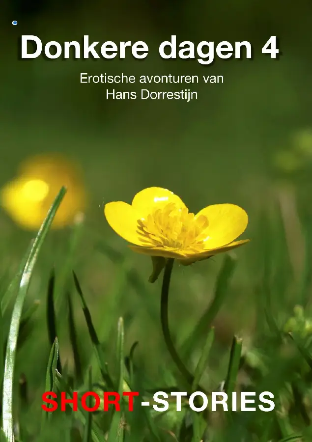 Donkere dagen / 4