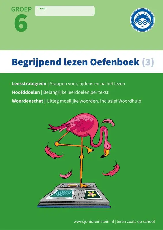 3 Verschillende type teksten en bijbehorende doelen / Begrijpend Lezen / Oefenboek