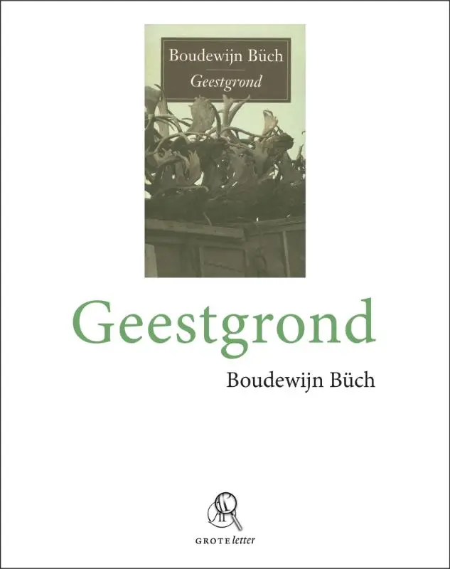 Geestgrond