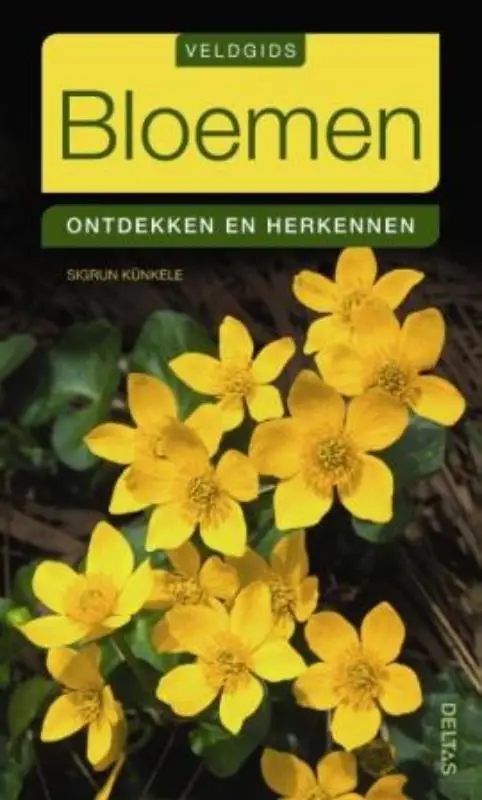 Bloemen