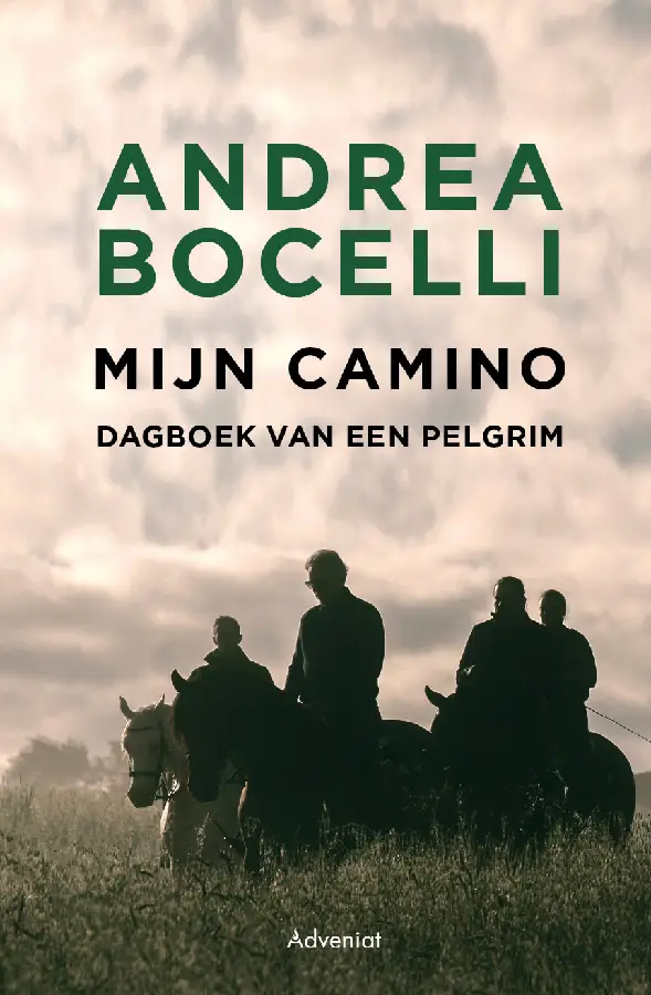 Mijn Camino